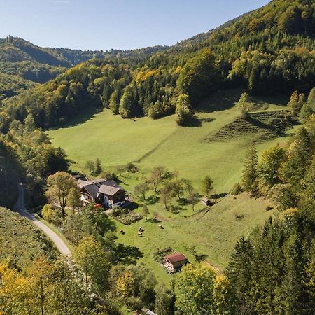 Urlaub Mitten Im Wald - Lueg Scheibbs Dış mekan fotoğraf
