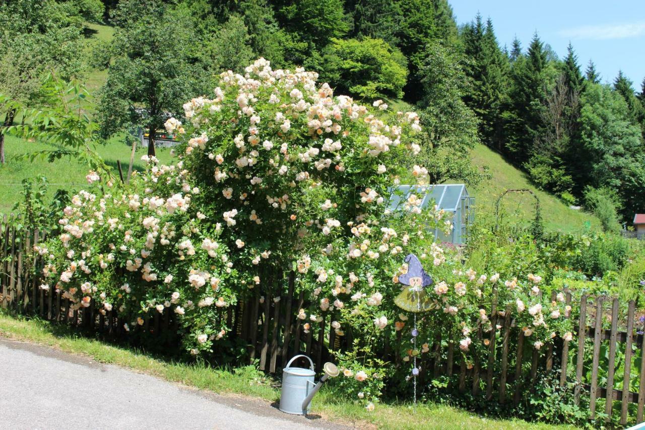 Urlaub Mitten Im Wald - Lueg Scheibbs Dış mekan fotoğraf