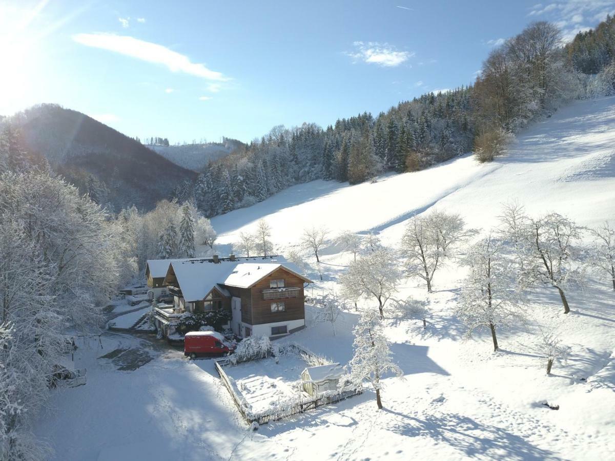 Urlaub Mitten Im Wald - Lueg Scheibbs Dış mekan fotoğraf