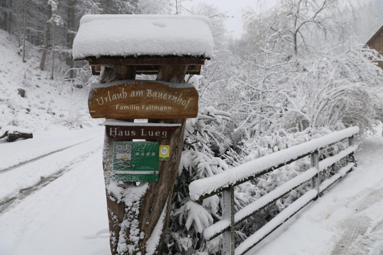 Urlaub Mitten Im Wald - Lueg Scheibbs Dış mekan fotoğraf